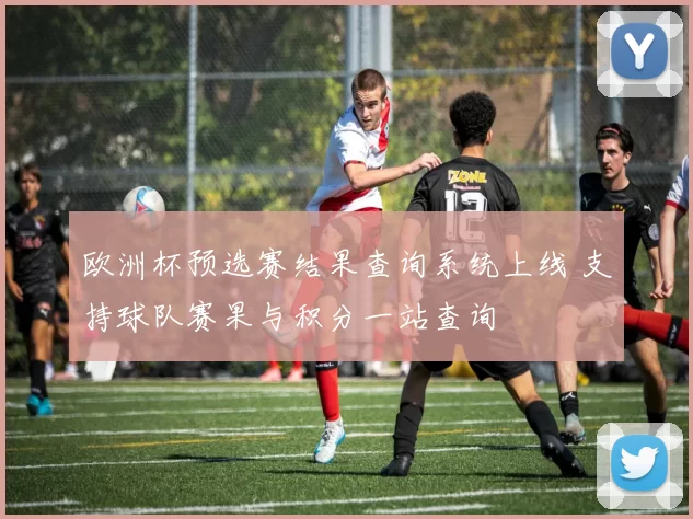 欧洲杯预选赛结果查询系统上线 支持球队赛果与积分一站查询