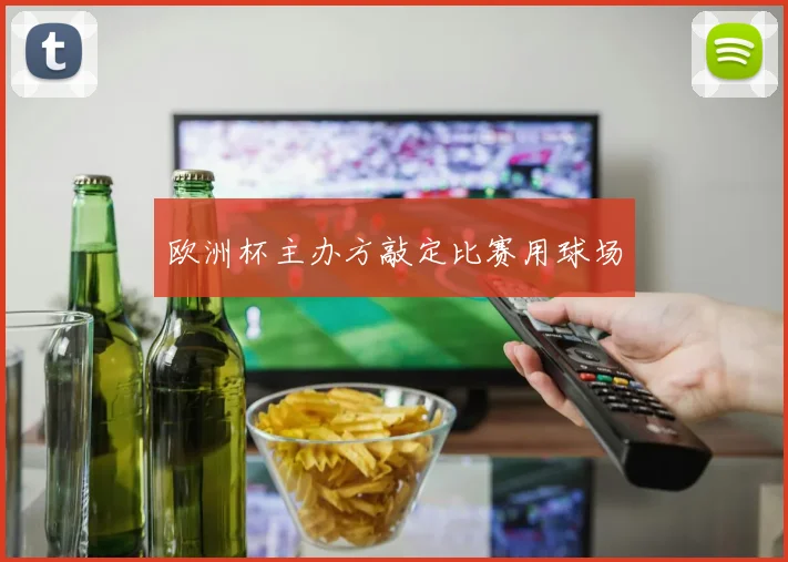 欧洲杯主办方敲定比赛用球场
