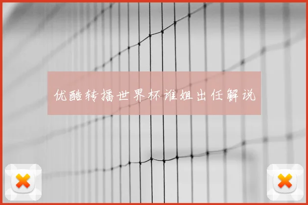 优酷转播世界杯谁姐出任解说