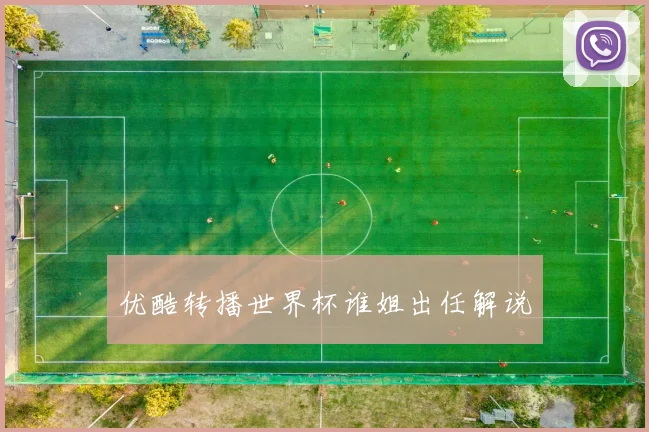 优酷转播世界杯谁姐出任解说